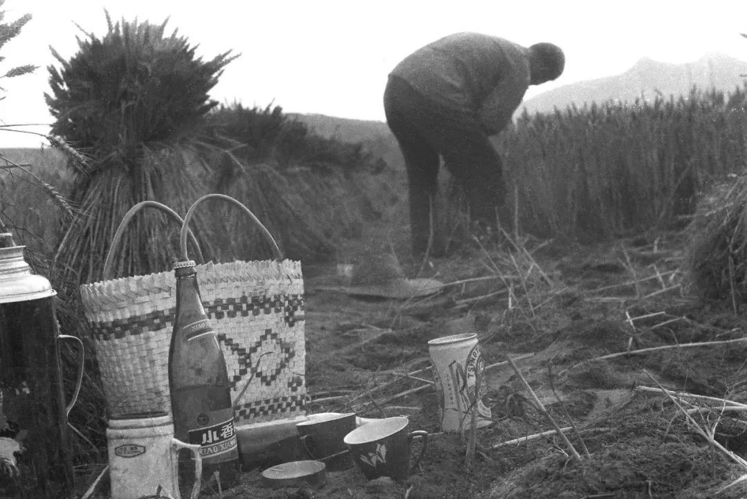 1657175158405043828.jpg 1657175158405043828.jpg