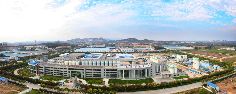 定图4.jpg